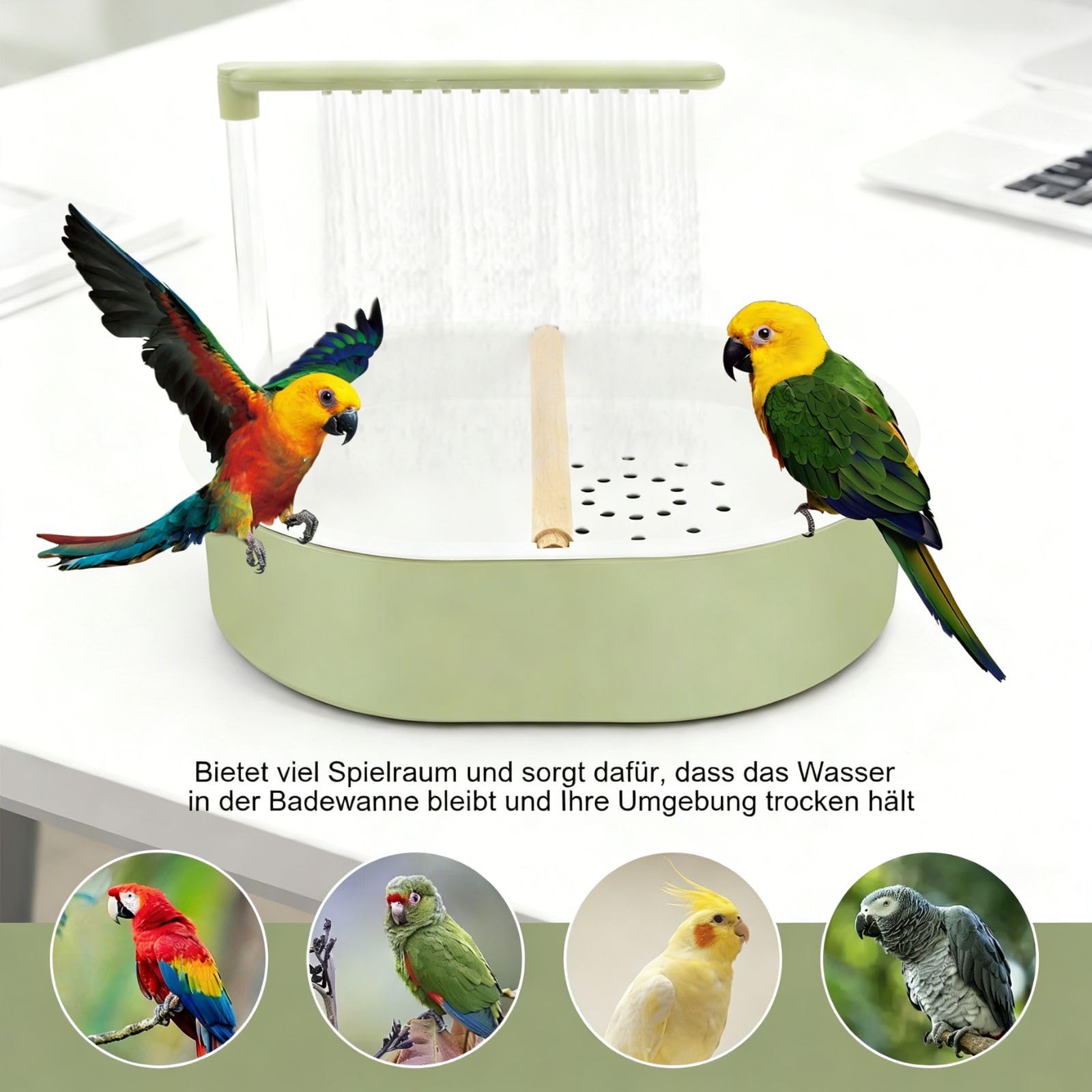 Bain d'oiseaux 32 x 26 cm pour perruches en polypropylène Vert Style frais Circulation automatique de l'eau de pluie Douche d'oiseaux avec 26 sorties d'eau pour
