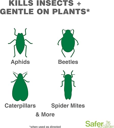 Miniatura 2 de Safer Brand Garden - Control de insectos y asesino en espray  Mata pulgones, escarabajos, insectos boxelder, orugas, tijeretas, ácaros, chinches