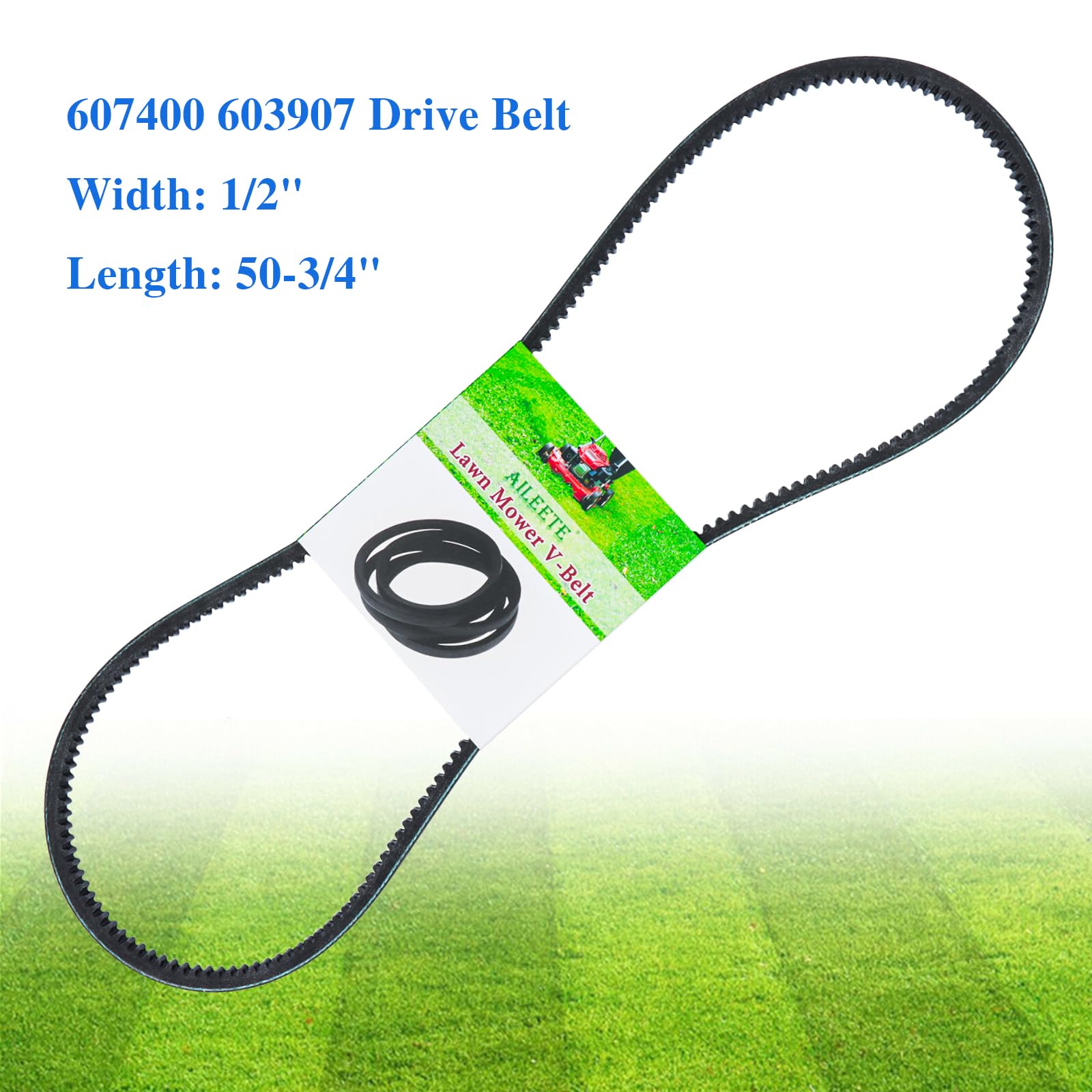 Amazon.com: AILEETE 607400 603907 Pump Drive Belt 1/2