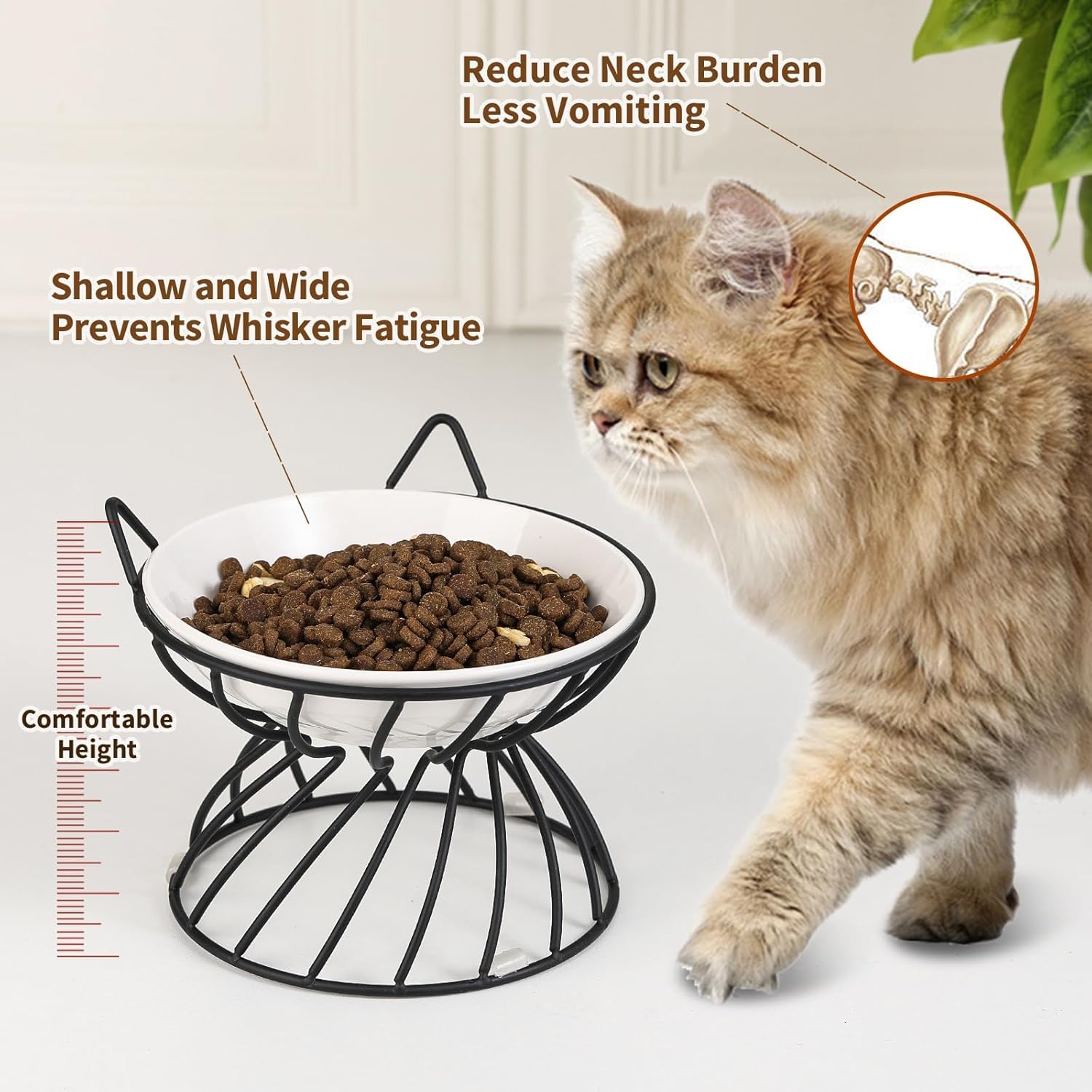 Wanmu 48 Pack Whisker Friendly Cat Bowls - 5.6 Inch Shallow Dish For Food & Water, 4 Colors