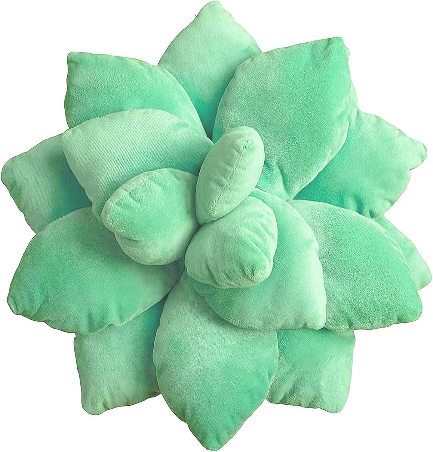 succulent cushion
