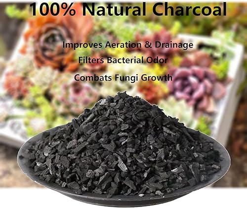 Miniatura 6 de Carbón activado orgánico para jardín - Carbón hortícola orgánico para jardín y carbón de invernadero hecho de subproductos, carbón de madera pura