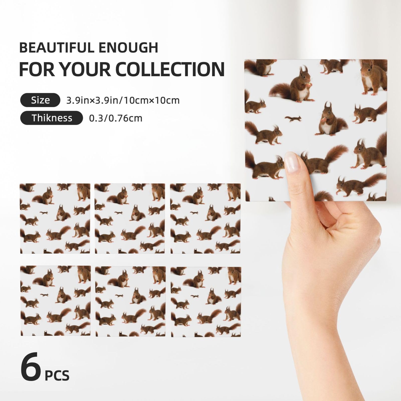 Set di 6 sottobicchieri decorativi in ceramica con stampa di scoiattoli