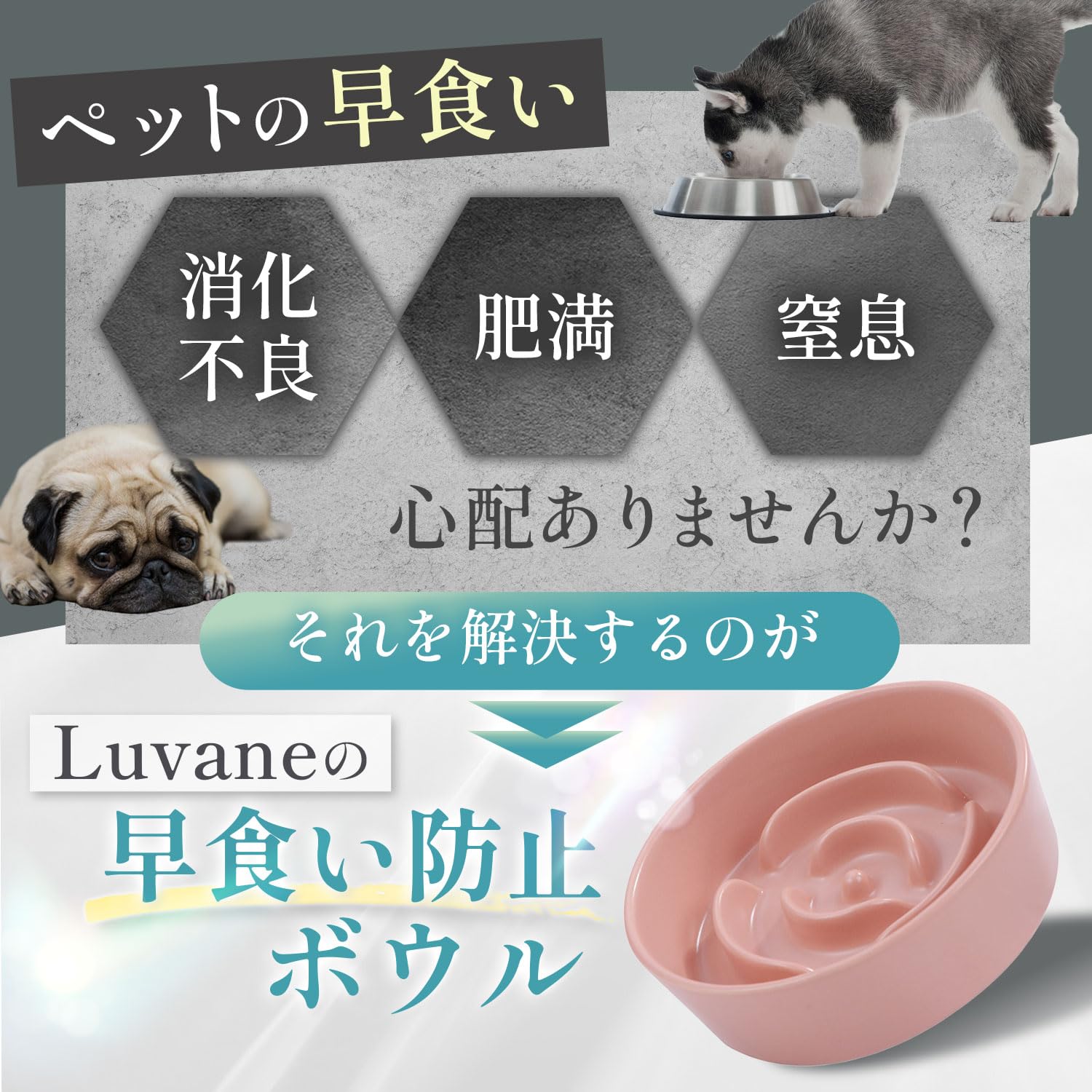 【獣医師推薦】 早食い防止 食器 犬 ワンちゃん 餌入れ M モスグリーン 楽天市場】【獣医師推薦】 早食い防止 食器 【独自の凹凸設計
