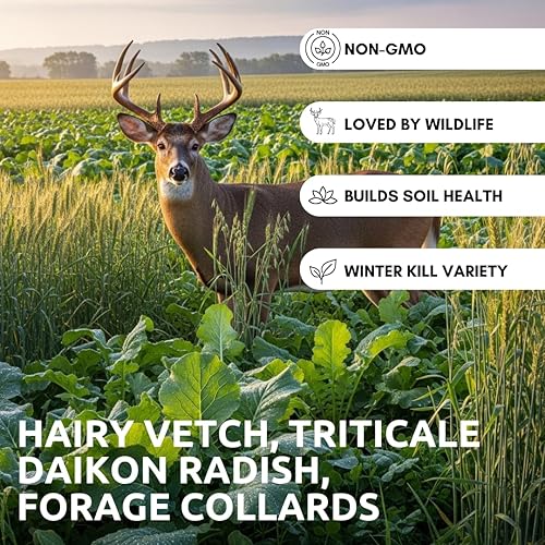 Miniatura 2 de No-Till Garden Farm and Garden Cover Crop Mix Seeds - Mezcla de semillas de cultivo de cobertura de jardinería Veja peluda, rábano Daikon, coles