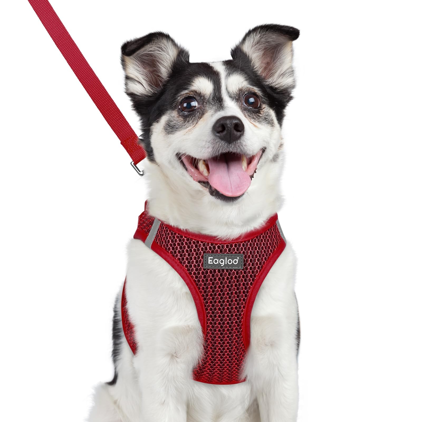 Eagloo Small Dog Harness and Leash Set, Step in Puppy Vest with Breathable Soft Mesh, Walking Reflective Pet Harness for Medium Small Dogs, Red, L