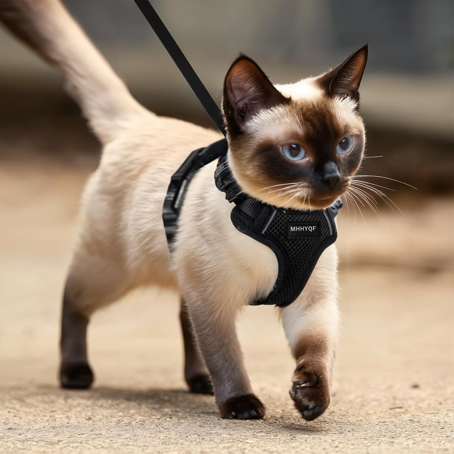 Cat Harness and Leash for Walking, Cat Car Harness, Escape Proof Soft Adjustable Vest Harnesses for Cats, Easy Control Breathable Reflective Strips Harness, Kitten Harness and Leash Set, Black, S - image 5