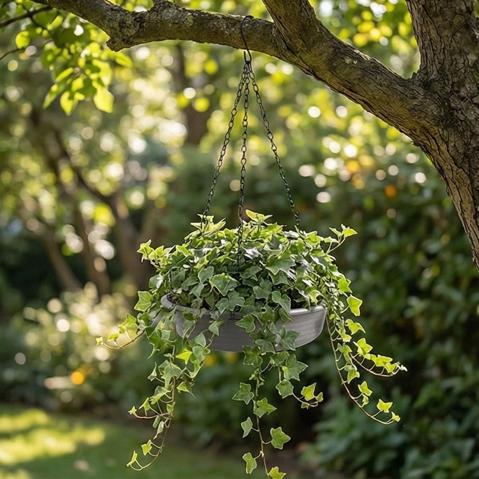 Lot de 2 cintres réglables en métal pour plantes d'intérieur et d'extérieur, support de suspension antirouille