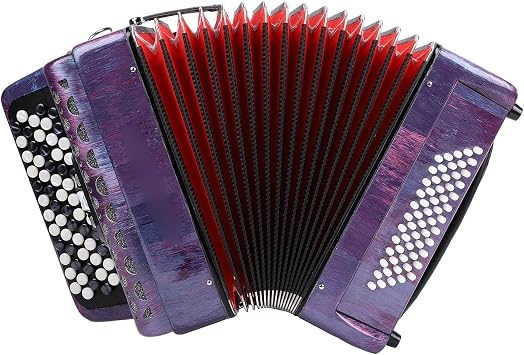 Diydeg Button Accordion, 62 Key 60 Bass Button F B E Tuning Accordion Chromatic Professional Diatonic for Beginners Professionals