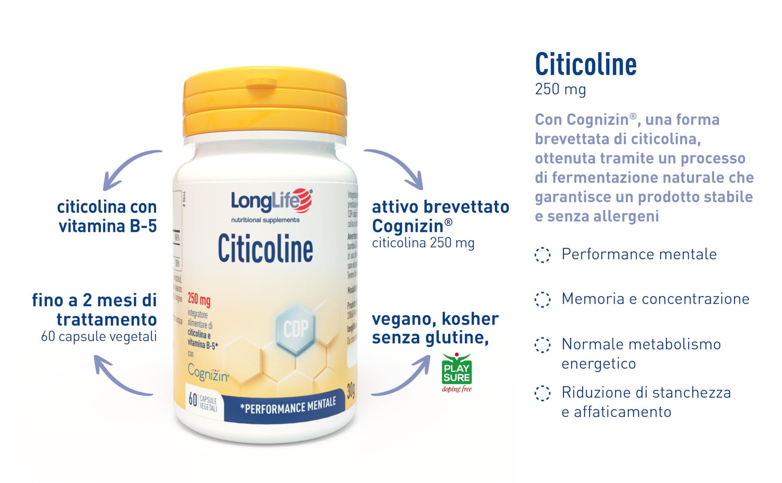 LongLife® Citicoline | Citicolina e acido pantotenico | Cognizin® marchio registrato | Supporto cognitivo e mentale | Memoria e concentrazione | Fino a 2 mesi di trattamento | Vegano e senza glutine