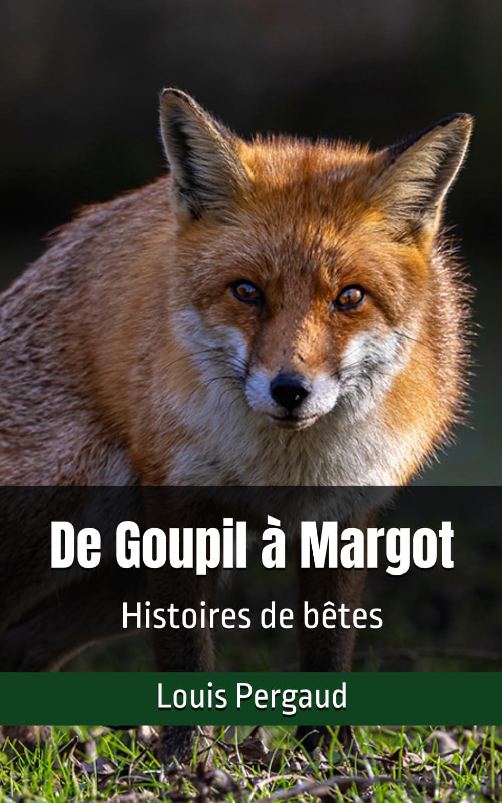 De Goupil à Margot: Histoires de bêtes