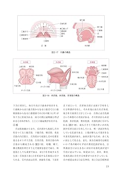 看護医学 331mz-0404-2.jpg