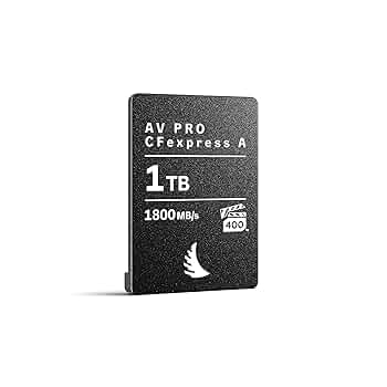 Amazon.com: Angelbird AV PRO CFexpress A v4 1 TB - CFexpress