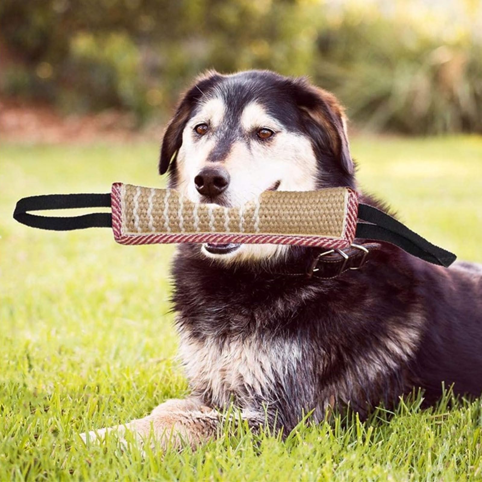 Giocattolo per Cani, 2 pezzi Manicotto Juta Salsicciotti per Cani, Salsicciotto Cane Addestramento con 2 Maniglia, Giocattolo Interattivo per cani Morso per Allenamento di Tiro alla Fune