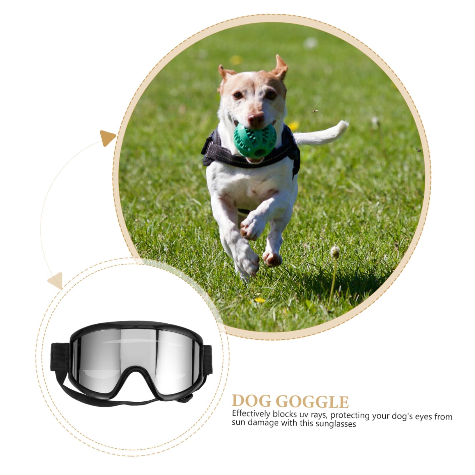 BESPORTBLE 5pezzi Occhiali Protettivi Per Cani Design Alla Moda e Creativo Protezione Dagli Agenti Atmosferici Per Attività All Aperto Accessori Per Animali Domestici