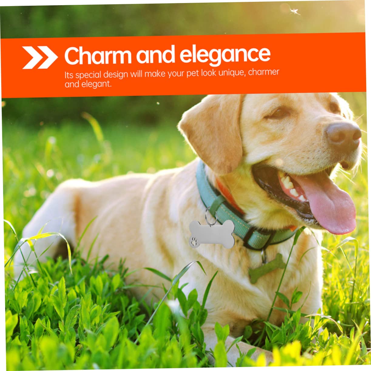 ORFOFE 30stücke Hundemarken Aus Edelstahl Personalisierbare Haustieranhänger Für Hunde Und Katzen Anti-verlust Namensschild Pfoten-design Für Kleine Tiere