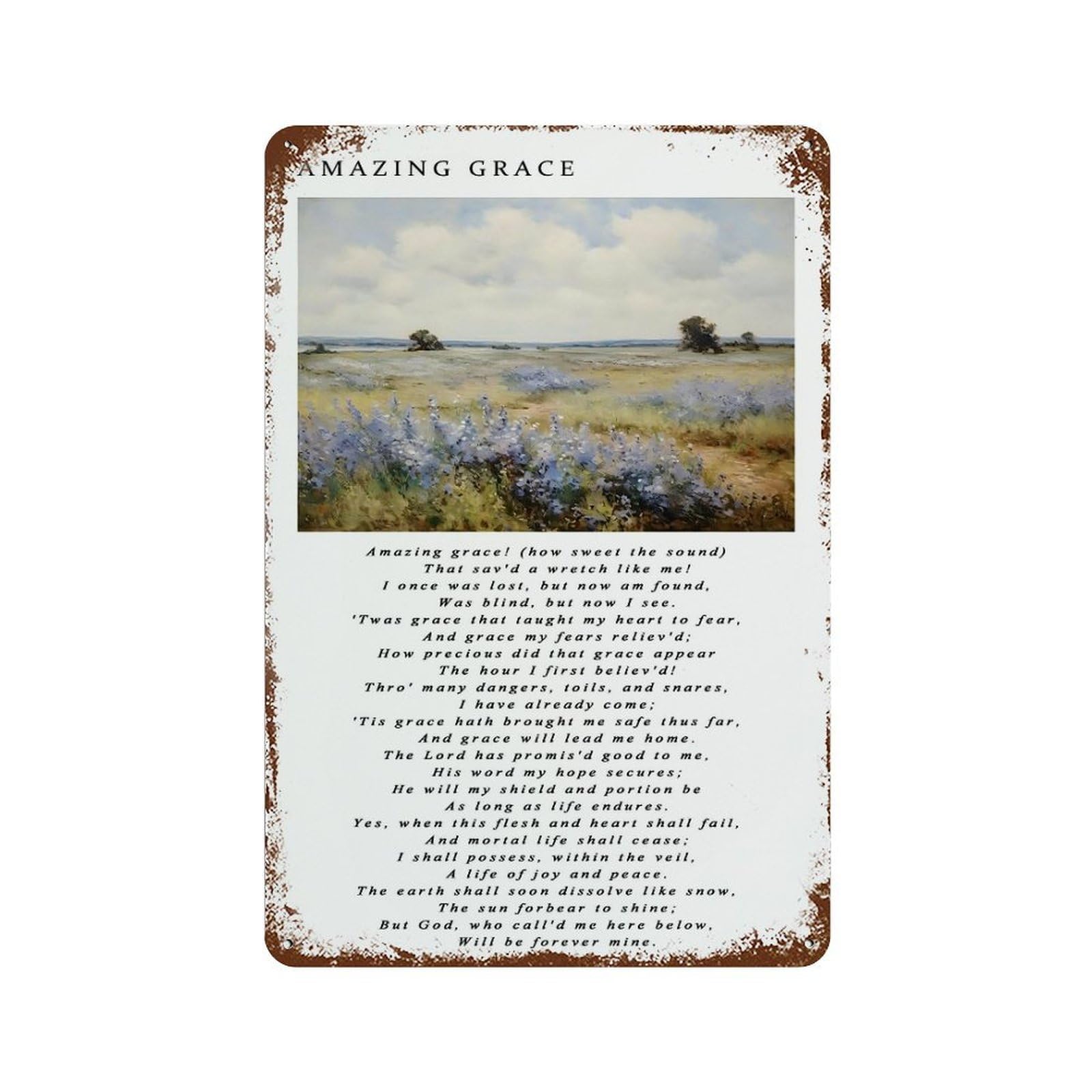 xiaoxiaoshen Amazing Grace Vintage Christian Wall Decor Art Metal Tin Poster Modern Home Decor Art Home Bar Shop Decorations Vintage Sign 30x20cm