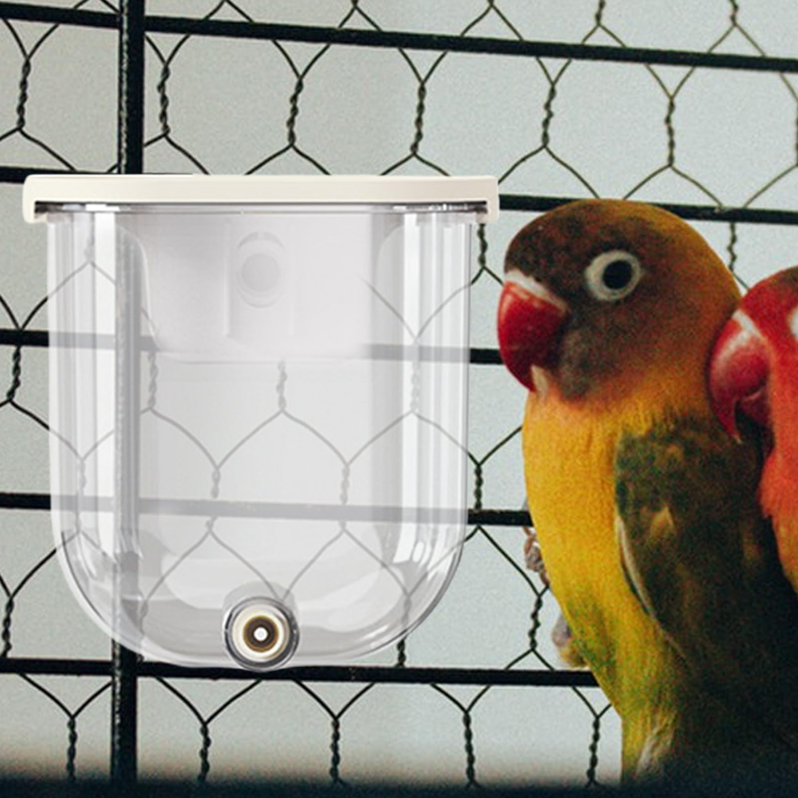 Abbeveratoio Per Uccelli | 330 Millilitri Senza Gocciolamento Bevitore Automatico Pappagalli - Alimentatore D'Acqua Per Uccelli,Per Canarini Uccellini Cocorite Inseparabili Calopsite