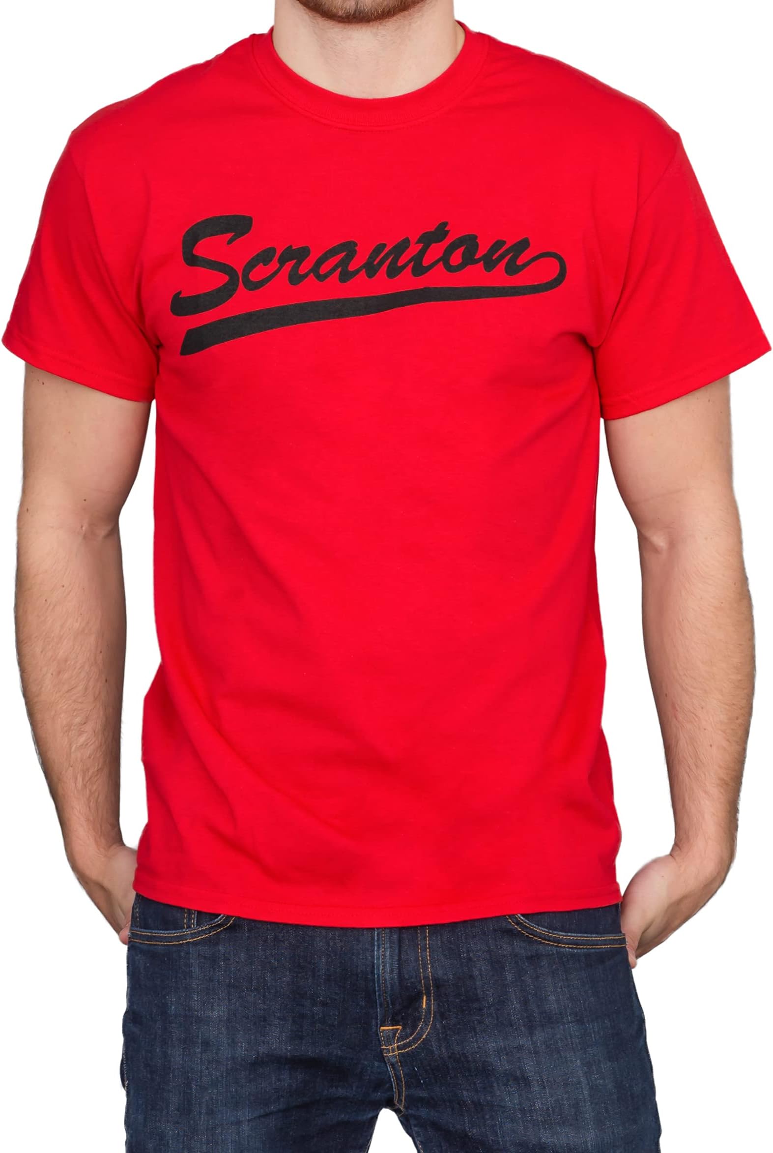 The Office Dunder Mifflin Scranton Branch Picnic Red T-shirt tee