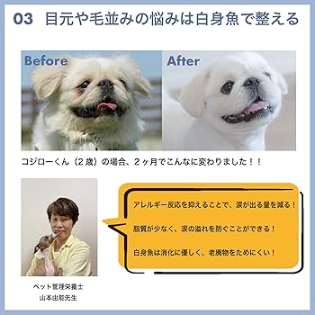 Amazon.co.jp: 【国産白身魚のプレミアムドッグフード