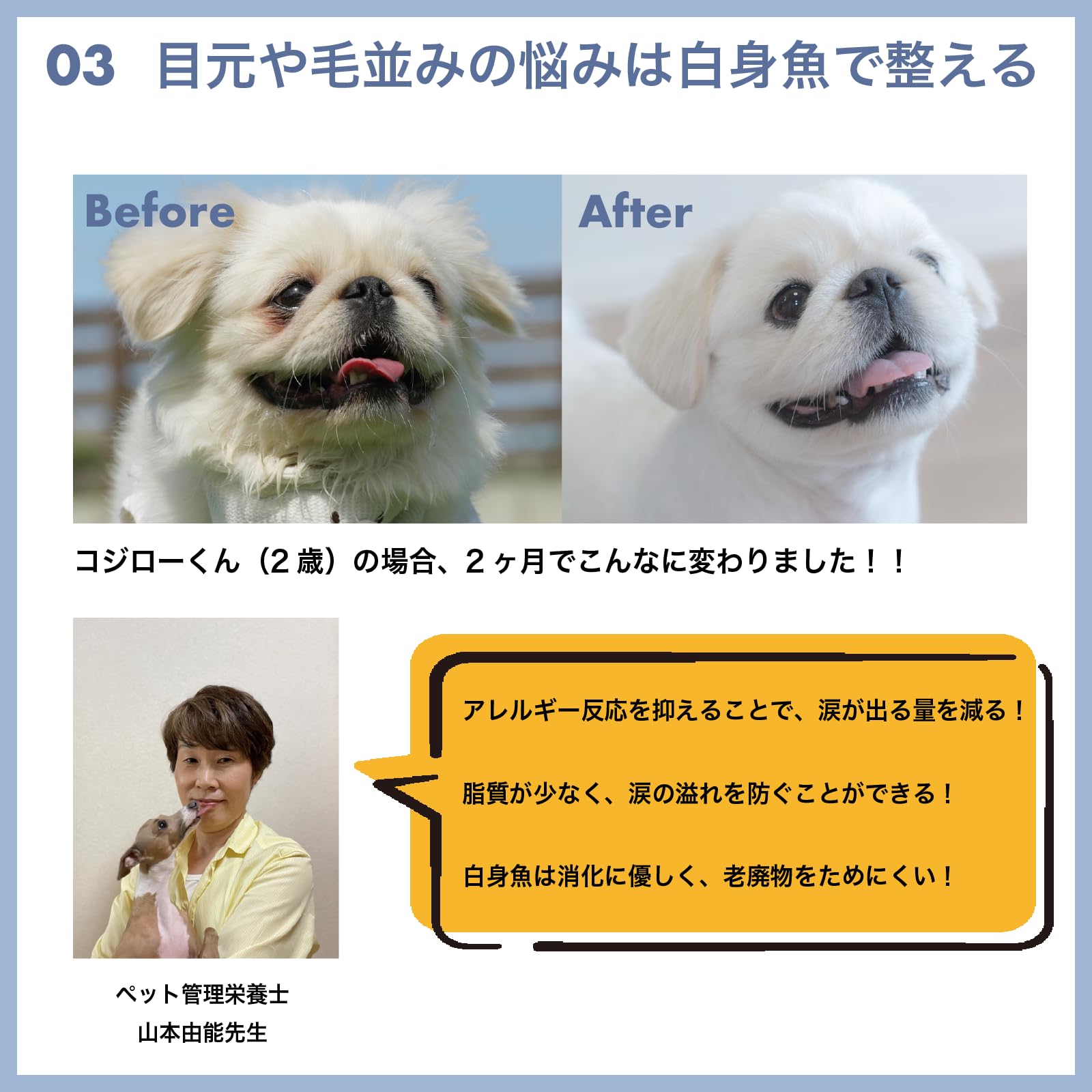 Amazon.co.jp: 【国産白身魚のプレミアムドッグフード