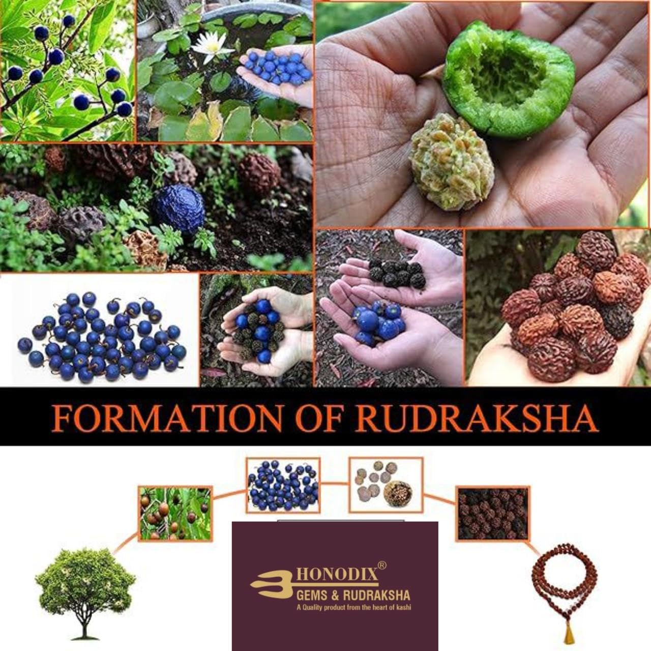 HONODIX Original Rudraksha Panchmukhi Mala (Black, 9-10mm) for Wearing and Japa Mala (5 Mukhi Mala, 108 Beads Mala Rosary Garland) (Black) 4