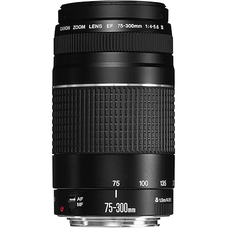 Canon EF 75-300mm f/4-5.6 III Telephoto Zoom Lens for Canon SLR Cameras
