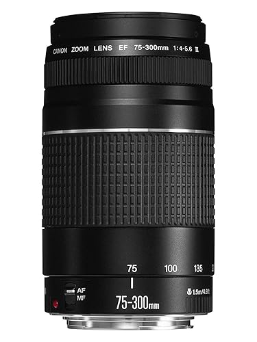 Canon EF 75-300mm f/4-5.6 III Telephoto Zoom Lens for Canon SLR Cameras