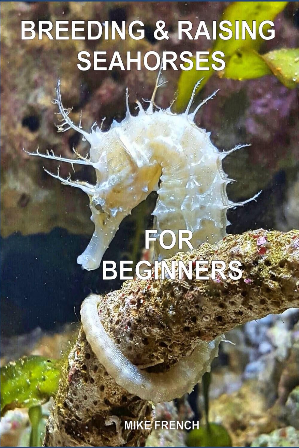 Breeding & Raising Seahorses: For Beginners