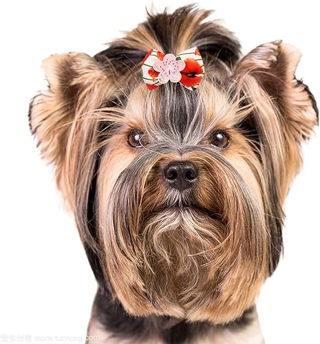 Miniatura 7 de 50 unidades25 pares de lazos para el pelo de perro con banda de goma, patrón floral de primavera para niñas, hembra, gato, conejo, cachorro,