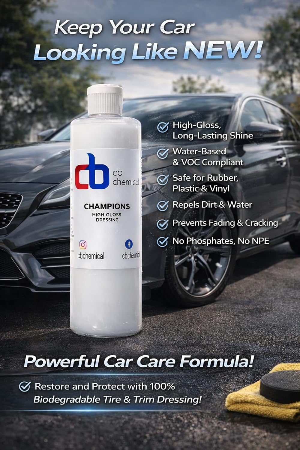 Champion Premium Car Wash Chemicals