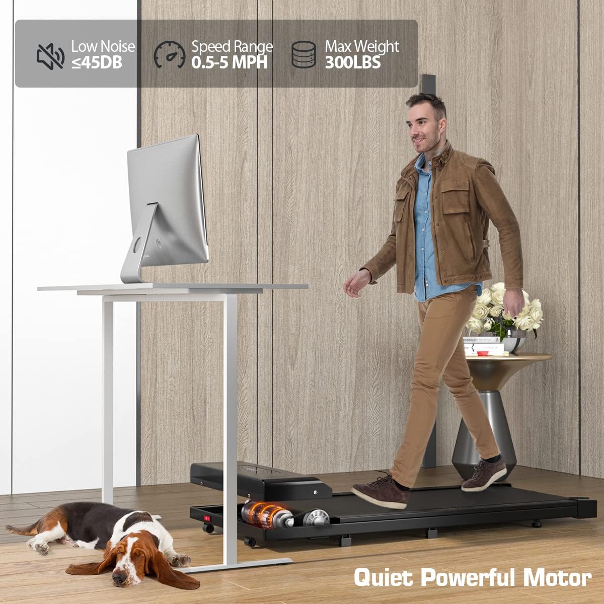 https://m.media-amazon.com/images/I/71jabJE4DTL._AC_SL1200_.jpg
