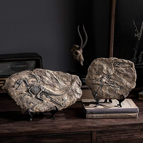 Miniatura 5 de XINDAM Estatua de fósil de dinosaurio de resina, modelo de esqueleto simulado, exhibición en casa y oficina, decoración decorativa de caja de