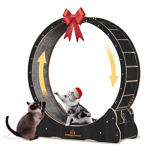 Homegroove Cat Wheels for Indoor Cats, 46 inch Large Cat Exercise Running Treadmill Wheel with Carpeted Runway for Kitty’s Longer Life, Black(XL) - XL - Black