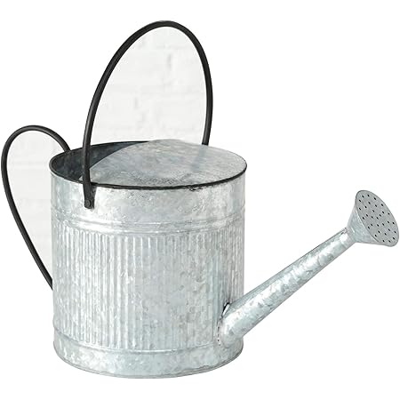 Guillouard 080320 Watering Can Apples Ramps Neutral Amazon De Garten