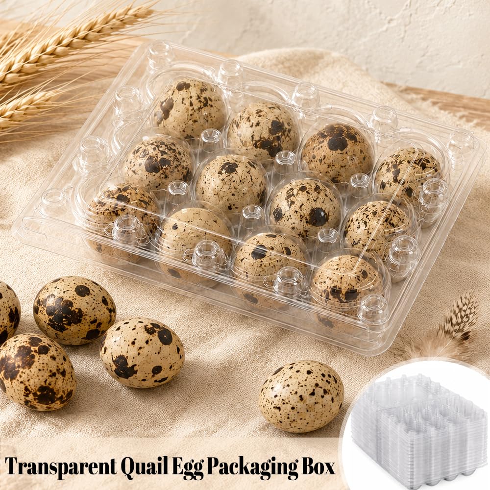 50 Pièces Boîte à Œufs de Caille,Conteneurs Pour œufs de Caille,Boîtes à œufs de Caille en Plastique,Modèle 12 œufs,Réutilisable, Gain de Place, Empilable et Transparent
