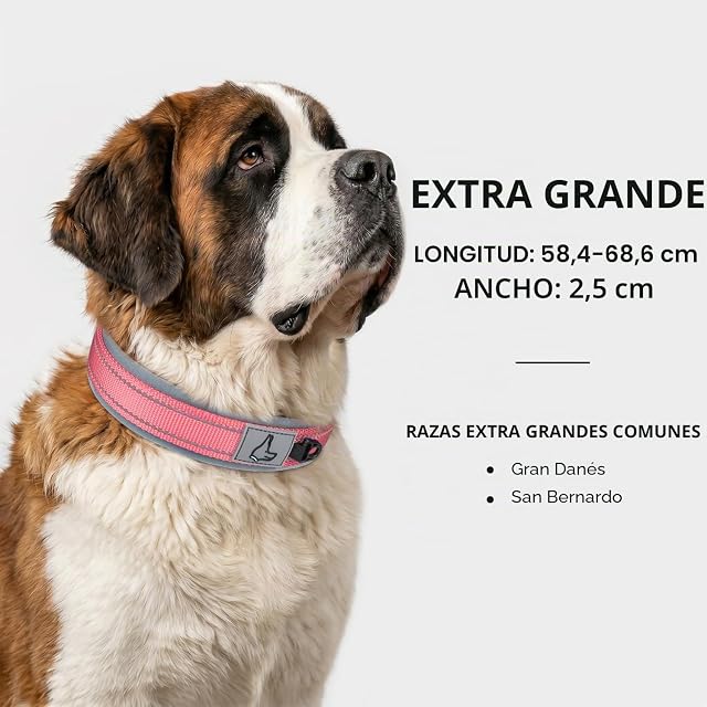 Foto 5 de 7 de Joytale Collar Perro Grande Resistente, Reflectante Ajustable de Acolchado Neopreno Nylon, Rosa, XL