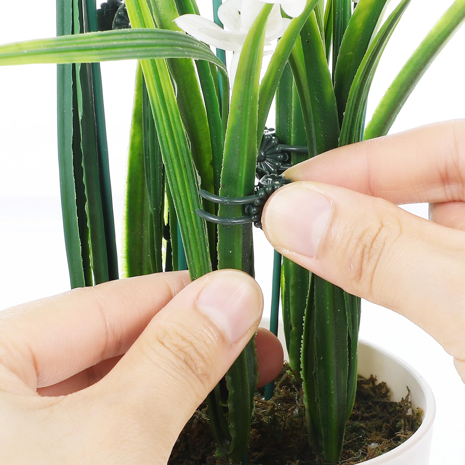 10 Pcs Plant Support Stakes with 10 Pcs Plant Clips, Bendable Garden Floral Flower Support Stake, Plant Sticks Help for Support Tall and Thrive, Plant Support Clips Set for Outdoor and Indoor Plants - Image 4