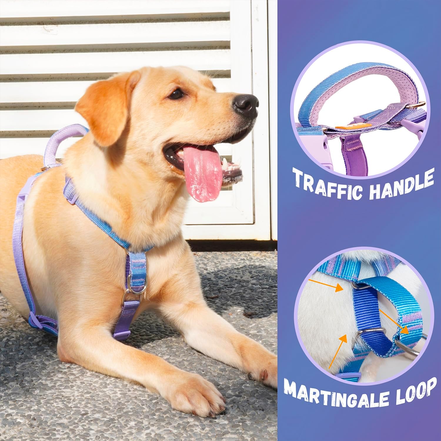 DF No Pull Martingale Heavy Duty Dog Harness & Leash Set, Escape-Proof Fully Customizable Fit Harness with Front Clip & Soft Padding Handle, Rainbow, Chest 33"-42.5"