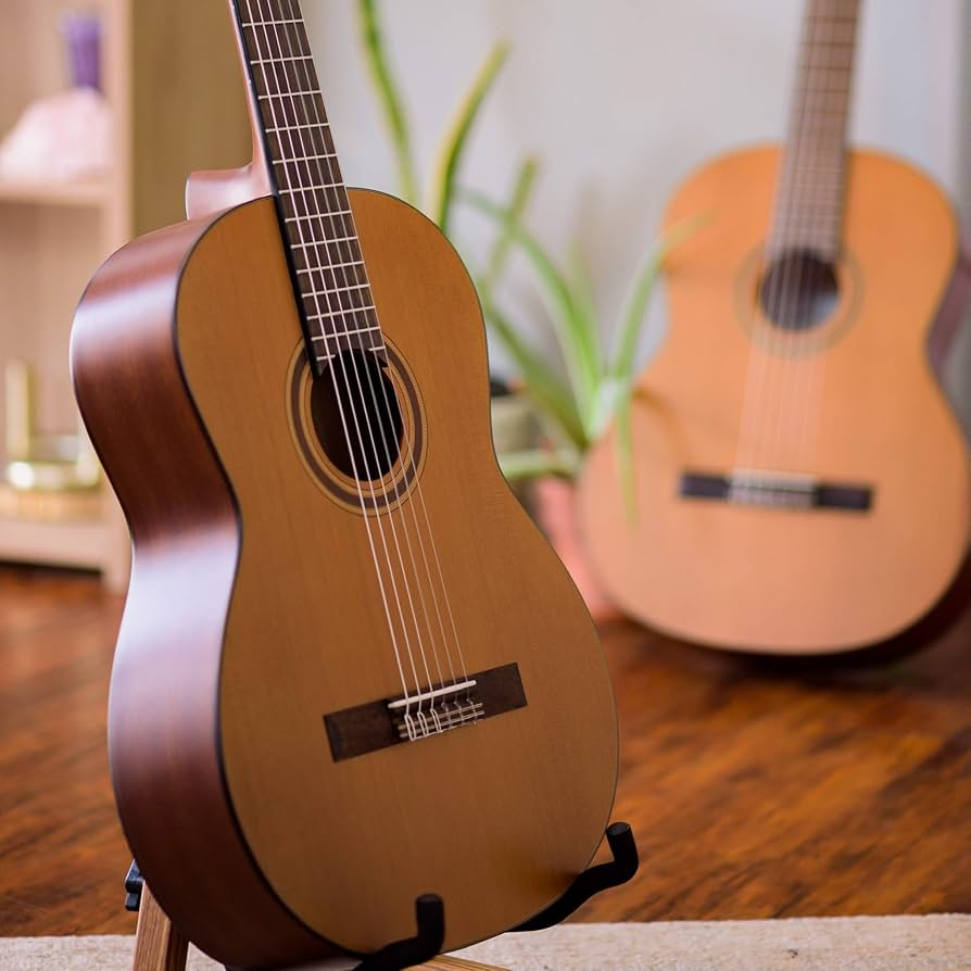 Amazon | Cordoba (コルドバ) クラシックギター C3M ナチュラル