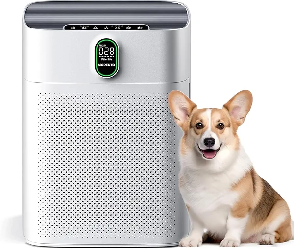 MORENTO Air Purifiers for Home Large Room up to 1076 Sq Ft with PM 2.5 Display Air Quality Sensor for Pet Hair, Double-Sided Air Inlet, 24db, White, 1 Pack + 2 Pack Filters