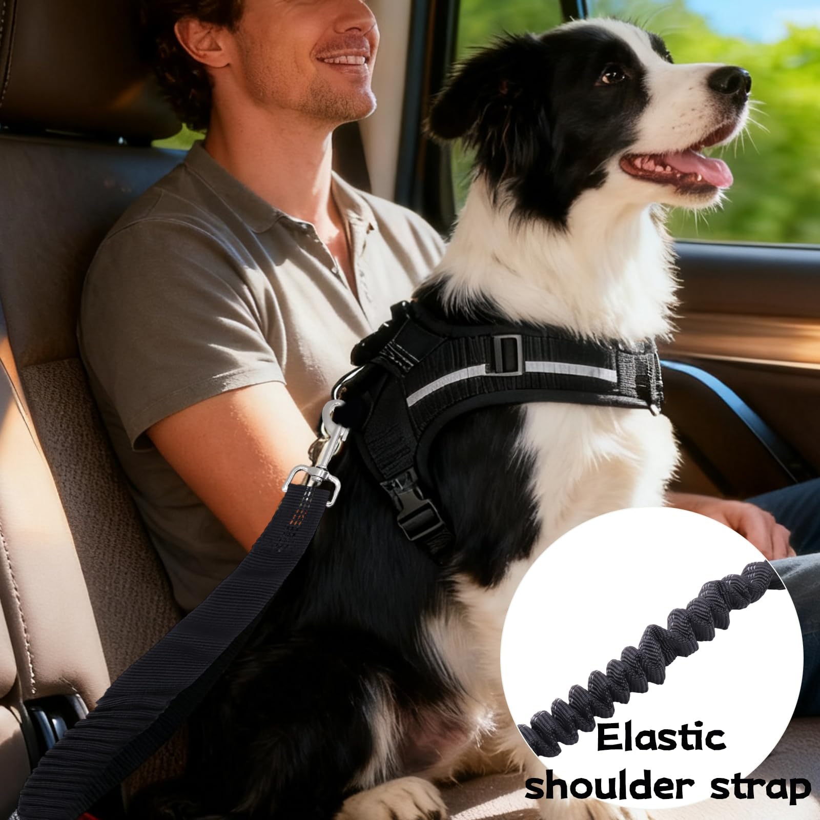 Sangle de Sécurité pour Chien avec Amortisseur Élastique, Mousqueton Solide et Longueur Réglable, Compatible avec Toutes Les Voitures pour Chien et Chat, pour Un Voyage Sûr