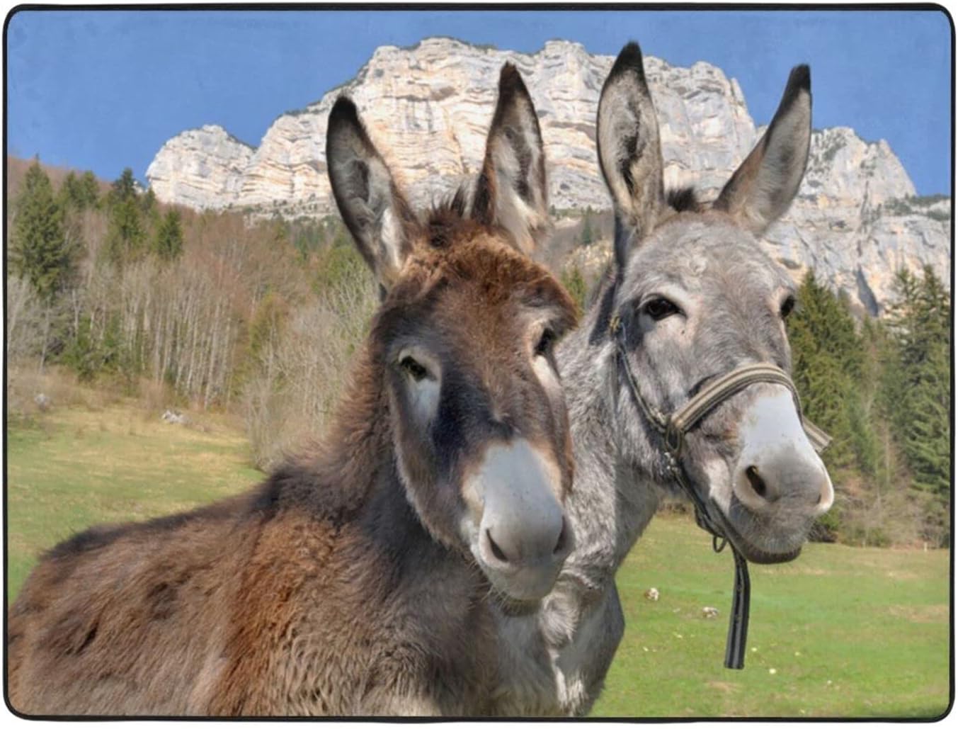 Aabstbfm Funny Donkeys Area Rug, Upholstered Comfort