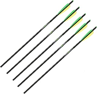 Barnett Arrows w/Field Point, 22-INCH - coolthings.us