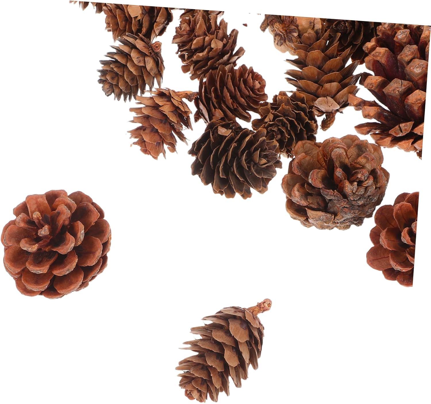 TEHAUX 150Pcs Natural Pine Cones Acorns for DIY Crafts Small Pine Decorations for Holiday Vase Fillers Creative Home Decor for Crafting Activities