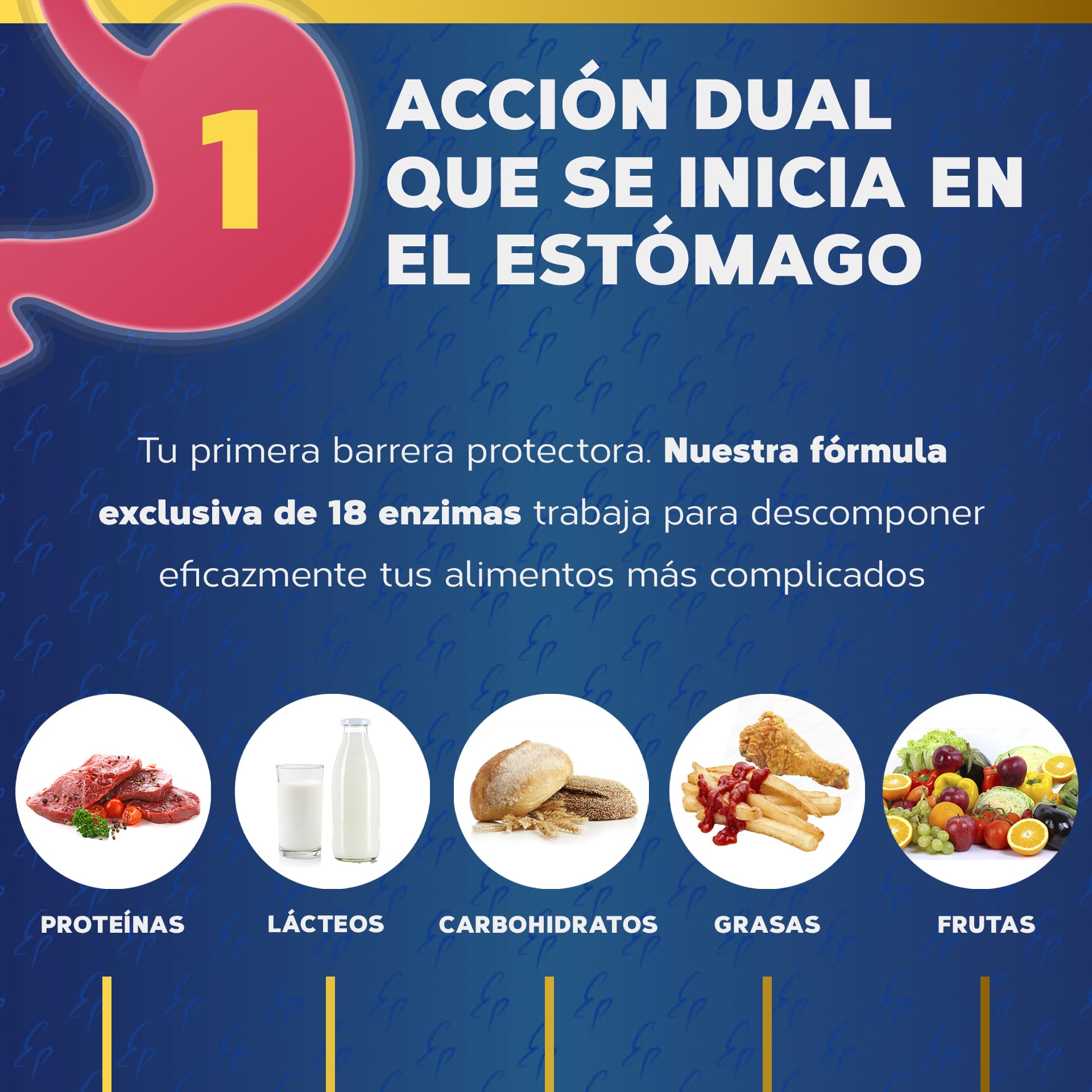 Enzimas Digestivas Estado Puro | 18 Enzimas Digestivas con Probióticos + Prebióticos | Mejora la digestión y la Absorción de Nutrientes | Sin Gluten | 80 Cápsulas Vegetales | TONGIL