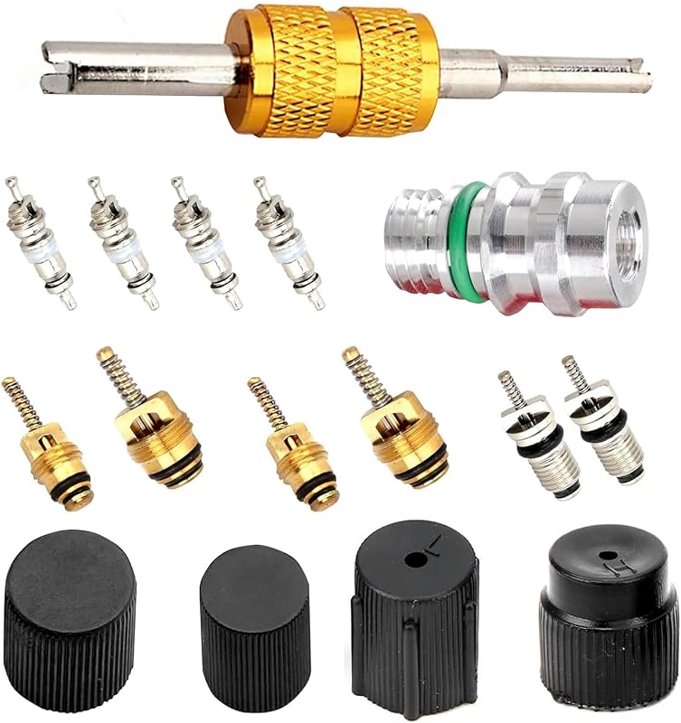 Kit de núcleos de válvula para ar-condicionado automotivo MOXRUQ R12 e R134a com ferramenta – 16 peças