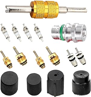 Air Conditioning Valve Core Kit, AC High & Low Pressure Port Caps, R12 R134a AC Refrigeration Valve Stem Cores, Automobile Air Conditioning System Repair Kit Dual Head Valve Core Remover Tool