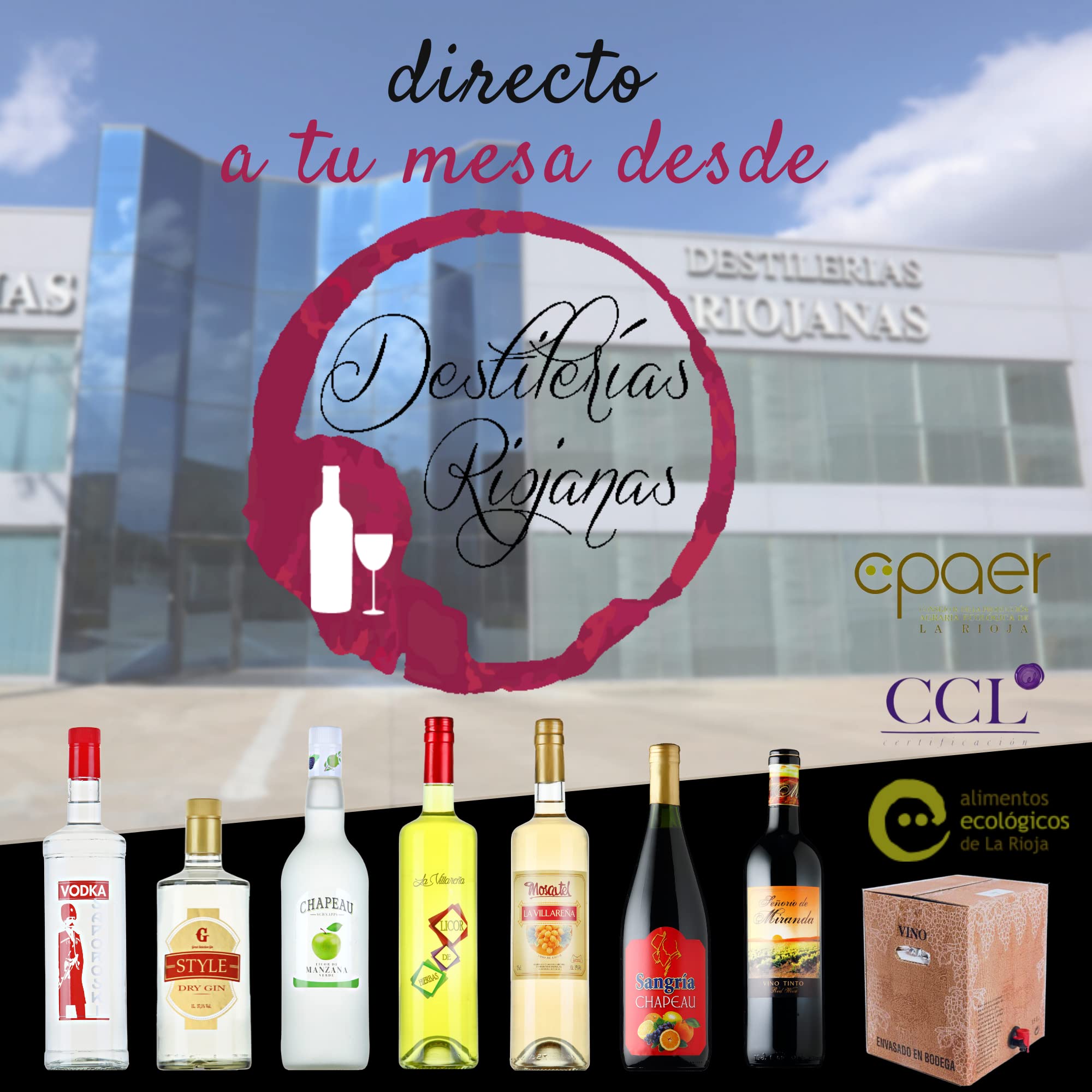 Ginebra Premium Elaborada en Rioja - Lote 6 botellas 70cl - Graduación 37,5% - Ginebra G-STYLE Premium - Destilada con Bayas de Enebro