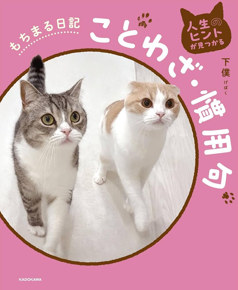 71jb1jq2stL._AC_UF1000,